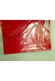 Panta Plast Skoroszyt A4 PP 10 szt.