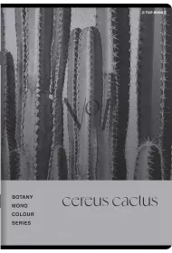 Zeszyt Top 2000 Botany A5 kratka, 70g 96 kartek