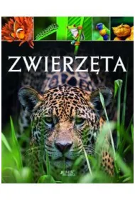 Zwierz�ta. Jedno��