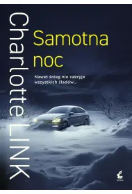 Samotna noc