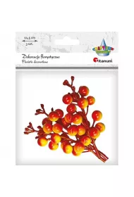 Titanum Ga��zki owoc�w winobluszczu pomara�czowe 3 szt.