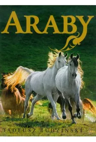 Araby. Dzieci wiatru