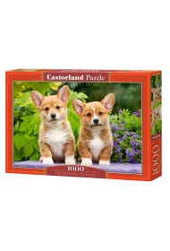 Puzzle 1000 el. Szczeni�ta Welsh Corgi Castorland