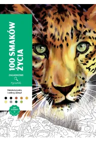 Art therapy. Kolorowanka antystresowa. 100 smak�w �ycia. Zagadkowe rysunki