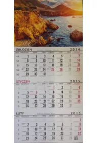Kalendarz tr�jdzielny jednoplanszowy 2019