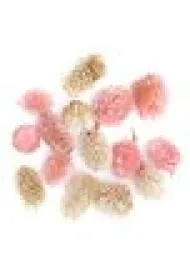 dpCraft Suszone owoce dekoracyjne mix 14 szt.