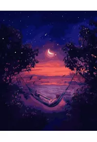 Twoje Hobby Malowanie po numerach czarne p��tno - Nocna... 40x50cm