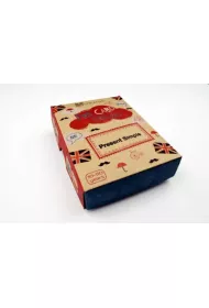 Fun Card English Present Simple