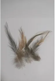 Pi�rka 10g