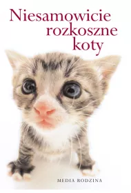Niesamowicie rozkoszne koty