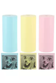 Rolki termiczne papier do drukarki apartu 5,7cm x 3m 3 sztuki kolorowe