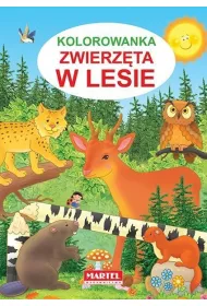 Kolorowanka. Zwierzta w lesie