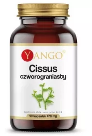 Yango Cissus Czworograniasty 470 mg Suplement diety 90 kaps.