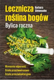 Lecznicza ro�lina bog�w. Bylica roczna
