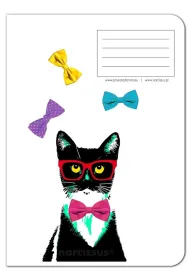 Narcissus Zeszyt A4 PP Fun Cat kratka 60 kartek 4 szt.