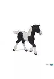 �rebi� Pinto