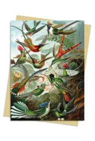 Flame Tree Karnet B6 Kolibry Ernst Haeckel