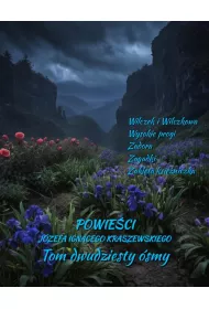 eBook Powieci Jzefa Ignacego Kraszewskiego. Tom 28 mobi epub