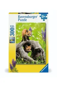 Puzzle 300 Curious Foxes Ravensburger