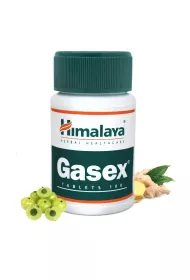 Himalaya Gasex Suplement diety 100 tab.