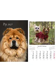 Kalendarz 2027 �cienny 13-k Psy