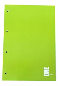 Interdruk Ko�ozeszyt A4 One Color kratka 100 kartek