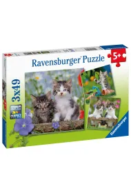 Puzzle 3x49 el. Koci�ta Ravensburger