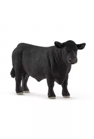 Aberdeen Angus