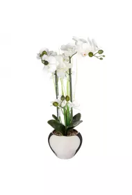 Atmosphera Orchidea wj doniczce 53 cm Zielony
