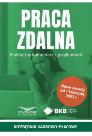 Praca zdalna. Praktyczny komentarz z przyk�adami
