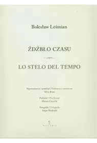 �d�b�o czasu Lo stelo del tempo