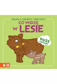 Co widz� w lesie. Nauka z grubym obrysem