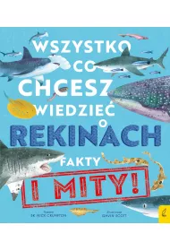 Wszystko, co chcesz wiedzie o rekinach. Fakty i mity!