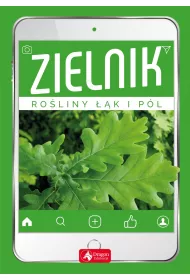 Zielnik. Ro�liny ��k i p�l