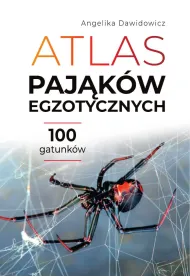 Atlas paj�k�w egzotycznych. 100 gatunk�w