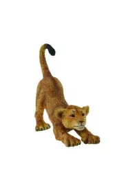 Collecta. Lwi�tko przeci�gaj�ce si�