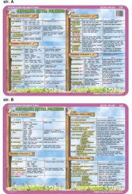 Visual System Podkadka edukacyjna. Ortografia: ch, h, rz, , 