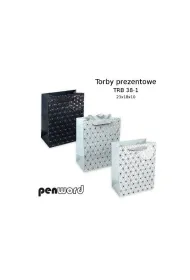 Polsirhurt Torba prezentowa TRB 38-1 23X18X10