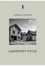 eBook Labirynty ycia epub