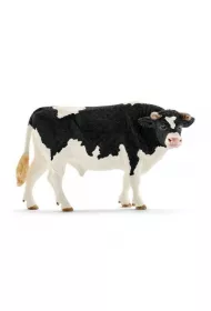 Byk rasy Holstein