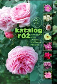 Katalog r�