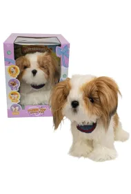 Piesek Shih Tzu Askato
