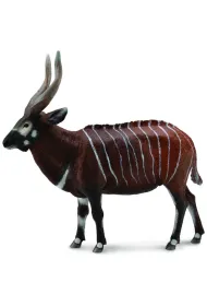Antylopa bongo