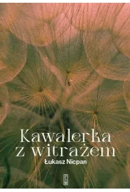 Kawalerka z witra�em