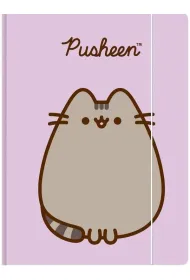 Teczka z gumk A4 300 g/m2 PUSHEEN