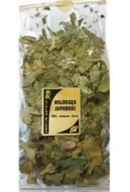 Astron Miorzb japoski 100% Licie 100 g