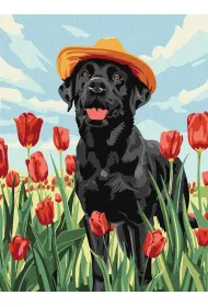 Ideyka Malowanie po numerach - Uroczy labrador 30x40cm