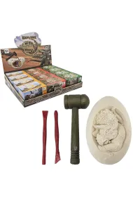Wykopaliska paleontolog dinozaur w jajku MIX