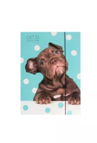 Pan Dragon Teczka A4 z gumk� Pets-16