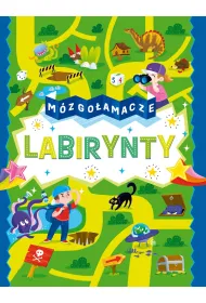 M�zgo�amacze. Labirynty